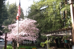 Mount Hermon 2008